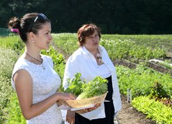 День поля в Уманському НУС