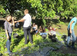 Роль праці у вихованні підростаючого покоління