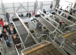 Відкрите практичне заняття зі студентами інженерно-технологічного факультету на ПАТ «Лебединський насінневий завод»