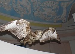 Незабутня подорож у загадковий світ Карпат