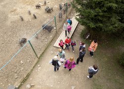 Незабутня подорож у загадковий світ Карпат