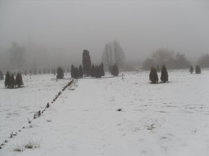 Печаль і мудрість вічної природи