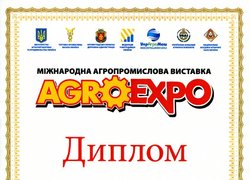 Вибір майбутньої професії – запорука успішної кар’єри