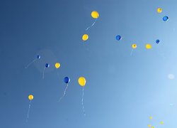 Перший дзвінок пролунав для першокурсників Уманського НУС