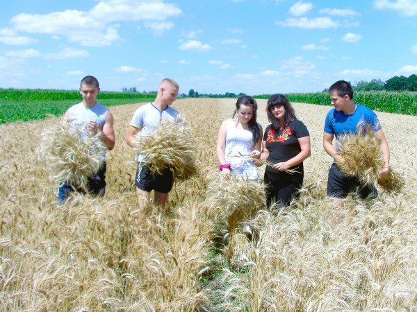 Науково-агрономічна практика Уманського НУС