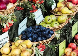 172 роки на варті вітчизняної освіти