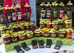 172 роки на варті вітчизняної освіти