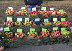 172 роки на варті вітчизняної освіти