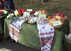 172 роки на варті вітчизняної освіти