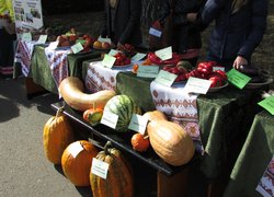 172 роки на варті вітчизняної освіти