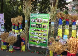 172 роки на варті вітчизняної освіти