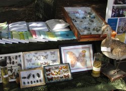 172 роки на варті вітчизняної освіти