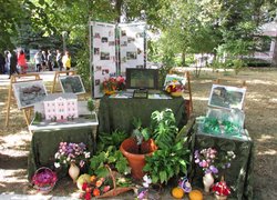 172 роки на варті вітчизняної освіти