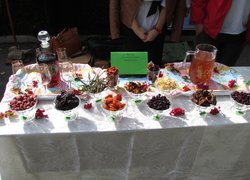 172 роки на варті вітчизняної освіти