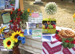 172 роки на варті вітчизняної освіти