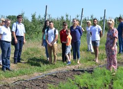 Інноваційність та актуальність наукових досліджень вчених УНУС