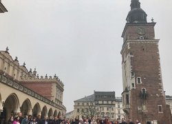 Студенти Уманського НУС відсвяткували День студента у Кракові