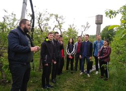 Розгортання градозахисної сітки в яблуневому саду голландського типу Уманського НУС