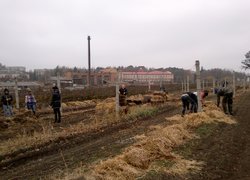 Збагачення досвіду під час практики з обрізування винограду в Уманському НУС
