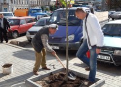 Озеленення центральної частини міста Умань