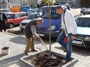 Озеленення центральної частини міста Умань