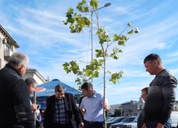 Озеленення центральної частини міста Умань