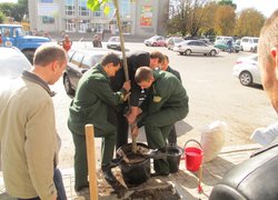 Озеленення центральної частини міста Умань