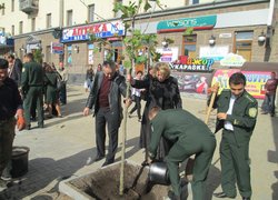 Озеленення центральної частини міста Умань