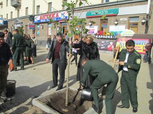 Озеленення центральної частини міста Умань