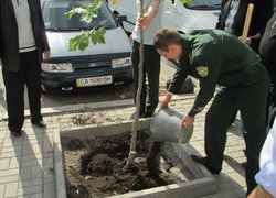Озеленення центральної частини міста Умань