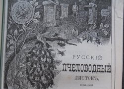 Бджільництво в Уманському училищі садівництва і землеробства