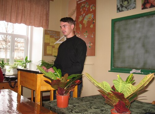 День пам’яті жертв голодоморів