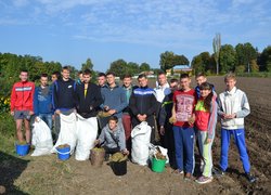 Студенти першого курсу факультету лісового та садово-паркового господарства заклали плантацію з ведмежого горіха