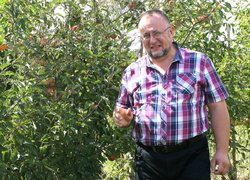 Огляд дослідів із садівничої тематики «День саду УНУС»