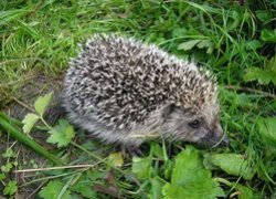 В університеті розпочалась акція зі збору та утилізації батарейок