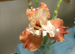 В Уманському НУС відсвяткували День науки
