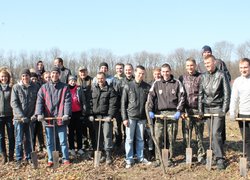 Лісове господарство