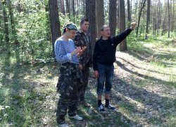 Лісове господарство
