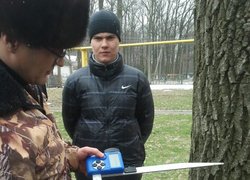 Лісове господарство