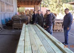 Лісове господарство