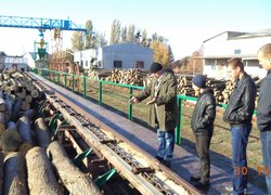 Лісове господарство