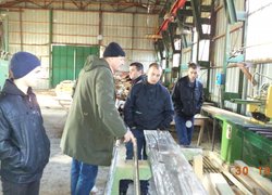 Лісове господарство