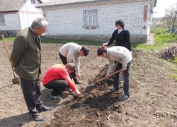 Лісове господарство