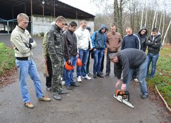 Лісове господарство