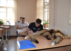 Лісове господарство