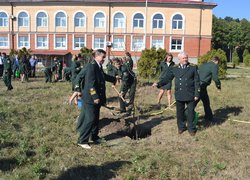 Лісове господарство