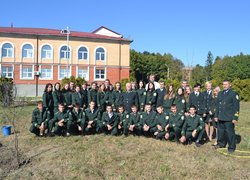 Лісове господарство
