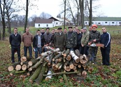 Лісове господарство