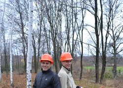 Лісове господарство