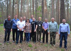 Лісове господарство